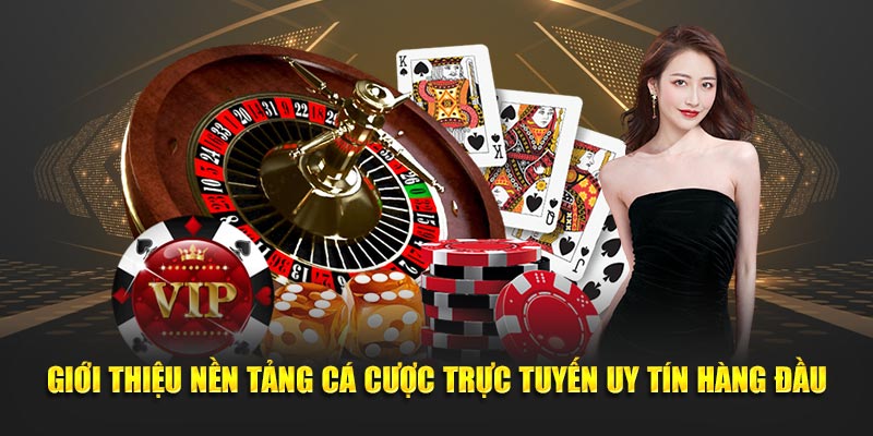 Giới thiệu nền tảng cá cược trực tuyến uy tín hàng đầu